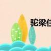 駝梁住宿哪家好（駝梁住宿）