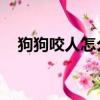 狗狗咬人怎么辦 泰迪（狗狗咬人怎么辦）