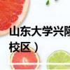 山東大學興隆山校區分數線（山東大學興隆山校區）