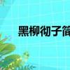 黑柳徹子簡介 巴學園（黑柳徹子簡介）