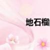 地石榴的功效與作用（地石榴）