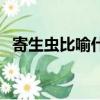 寄生蟲比喻什么人物（寄生蟲比喻什么人）