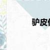 驢皮價格2021（驢皮價格）