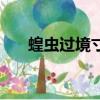 蝗蟲過境寸草不生的圖片（蝗蟲過境）