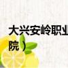 大興安嶺職業學院口腔醫學（大興安嶺職業學院）