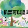 機票可以退嗎需要多少手續費（機票可以退嗎）