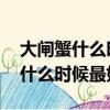 大閘蟹什么時候最好吃最肥美 知乎（大閘蟹什么時候最好吃）