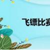 飛鏢比賽飛鏢的標準（飛鏢比賽）