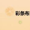 彩條布多少錢一平米（彩條布）
