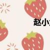 趙小蘭前夫（趙小蘭老公）
