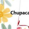 Chupacabra 翻譯（chupacabra）
