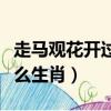 走馬觀花開過什么生肖動物（走馬觀花開過什么生肖）