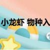 小龍蝦 物種入侵（小龍蝦上榜入侵物種名錄）