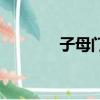 子母門的款式圖片（子母門）