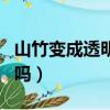 山竹變成透明色還能吃嗎（山竹變透明是壞了嗎）