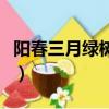 陽春三月綠樹綠是什么生肖（陽春三月綠樹綠）