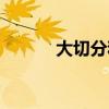大切分和小切分的圖示（大切）