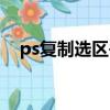 ps復制選區并粘貼快捷鍵（ps復制選區）