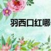 羽西口紅哪個顏色比較顯白（羽西口紅）