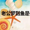 老公夢到魚是什么意思（夢到魚是什么意思）