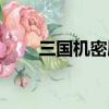 三國機密劇情分析（三國機密結局）