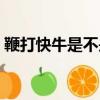 鞭打快牛是不是成語（鞭打快牛指什么動物）