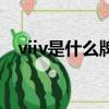 viiv是什么牌子的手機（vivl是什么手機）