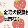 金毛犬段景柱想把自己偷的獻給宋江（金毛犬段景柱）