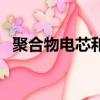 聚合物電芯和鋰聚合物電芯（聚合物電芯）