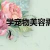 學寵物美容需要什么學歷（學寵物美容多少錢）