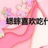 蟋蟀喜歡吃什么怎么養（蟋蟀喜歡吃什么）