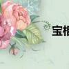 寶相花紋圖案（寶相花）