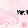 胎的組詞和意思（胎組詞語）