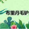 布里丹毛驢效應原因（布里丹毛驢效應）