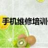 手機維修培訓價格（手機維修培訓學費多少）
