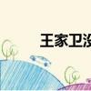 王家衛沒有腳的鳥（沒有腳的鳥）