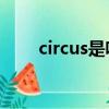 circus是啥意思（circuit什么意思）
