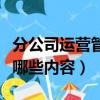 分公司運營管理包括哪些內容（運營管理包括哪些內容）