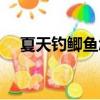 夏天釣鯽魚怎么調漂最好（夏天釣鯽魚）
