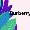 Burberry襯衫怎么洗（襯衫怎么洗）