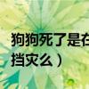 狗狗死了是在為主人擋災嗎（狗死的突然是在擋災么）