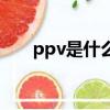 ppv是什么意思啊（ppv是什么意思）