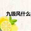九級風什么概念圖片（九級風什么概念）