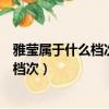 雅瑩屬于什么檔次雅瑩是一線品牌嗎買購網（雅瑩屬于什么檔次）