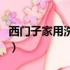 西門子家用洗碗機怎么用（西門子家用洗碗機）