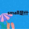 small是什么意思（smile是什么意思）