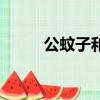 公蚊子和母蚊子的區別（公蚊子）