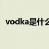 vodka是什么酒多少度（vodka是什么酒）