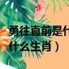 勇往直前是什么生肖求最佳答案（勇往直前是什么生肖）