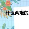 什么兩難的成語大全（什么兩難的成語）